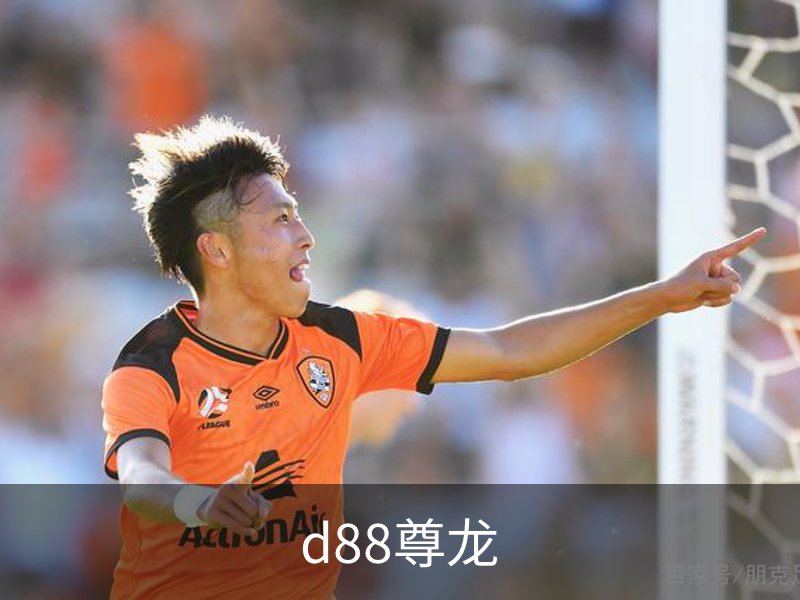 d88尊龙简介
